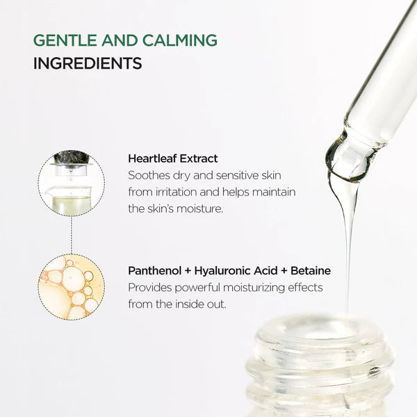 Anua - Heartleaf 80% Soothing Ampoule